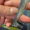 Hologram Minnow - Afbeelding 3