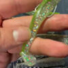 Hologram Minnow - Afbeelding 2