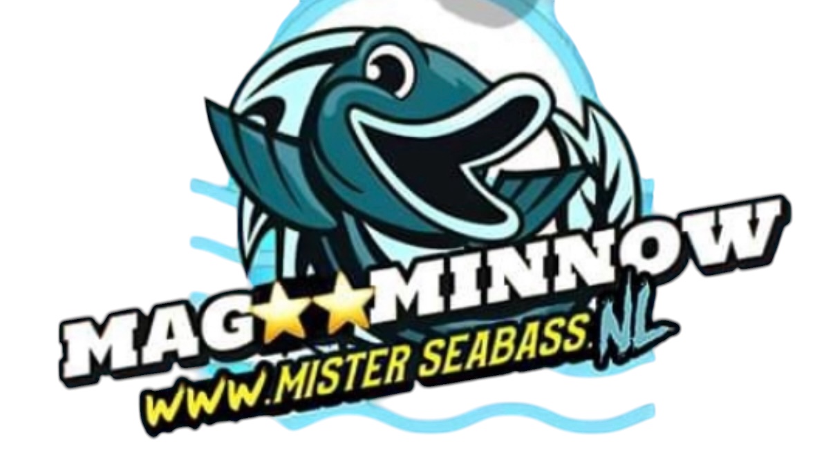 misterseabass.nl