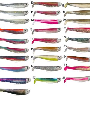 nieuw zeebaars tropical colors