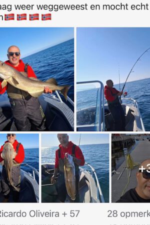 noorwegen \ boot \ minnow \ shads